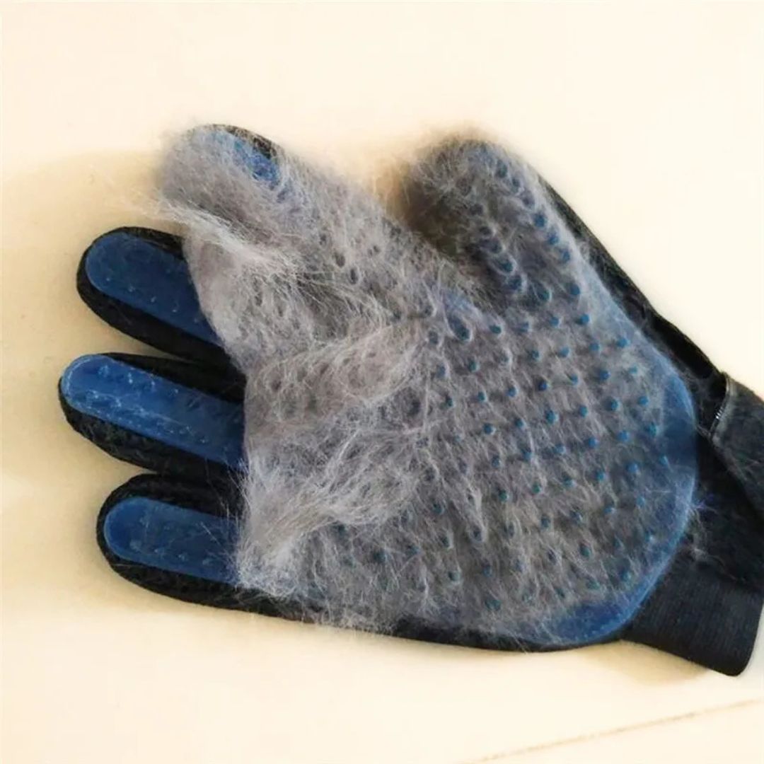 Glove brush